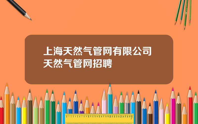 上海天然气管网有限公司 天然气管网招聘